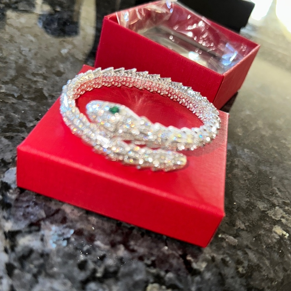 Elegant Silver Snake Bracelet
